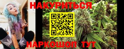 прущие грибы Можайск