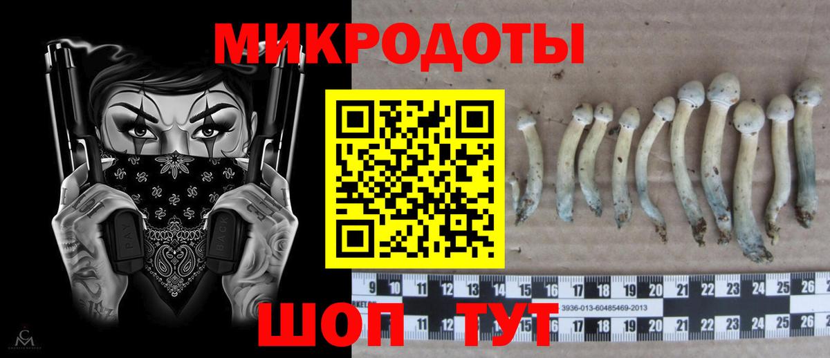 Удомля  Псилоцибиновые грибы мицелий  Вход с VPN  Псилоцибиновые грибы MAGIC MUSHROOMS 